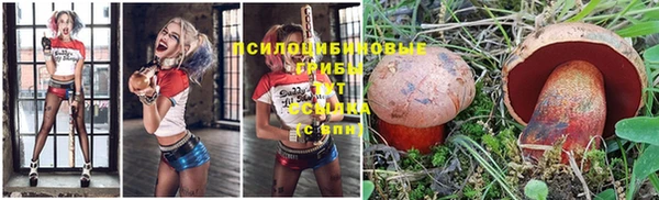 шишки Гусиноозёрск