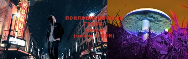 мдпв Гусь-Хрустальный