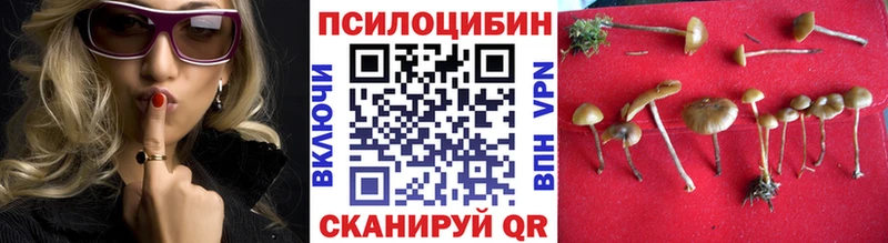 Галлюциногенные грибы ЛСД Сосновка